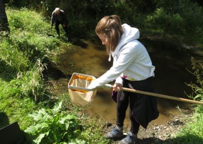 Pond dipping